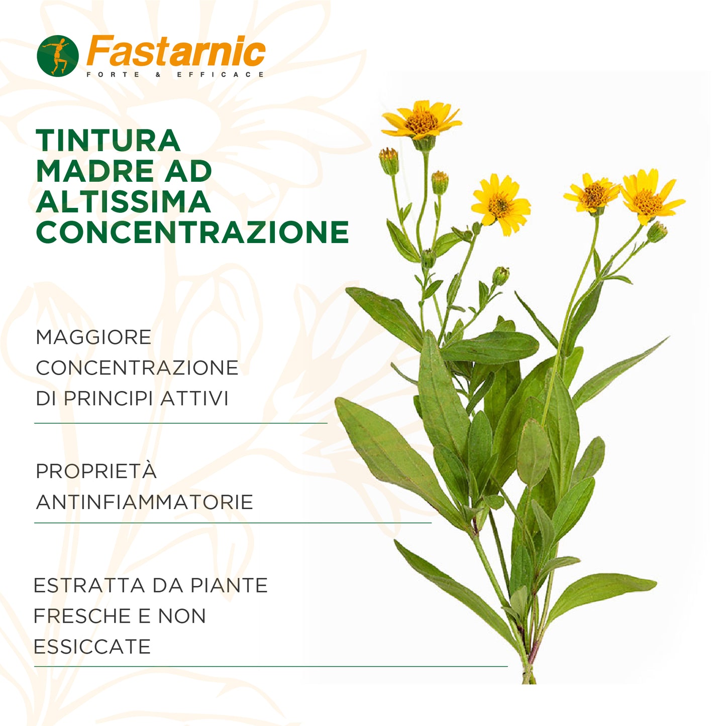 Fastarnic Arnica Gel Forte